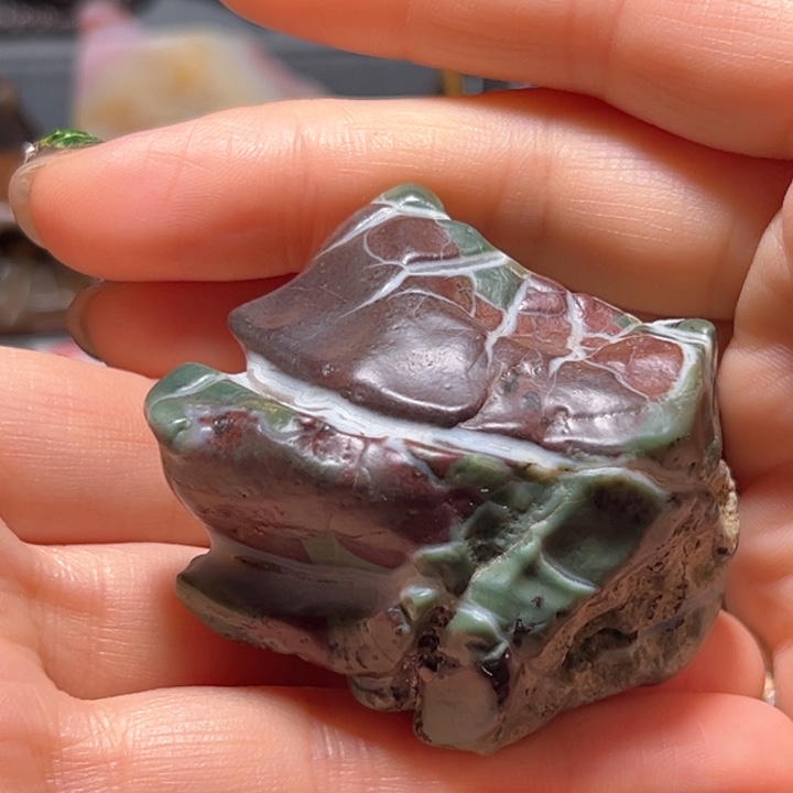 石材彩牙龟福利啦