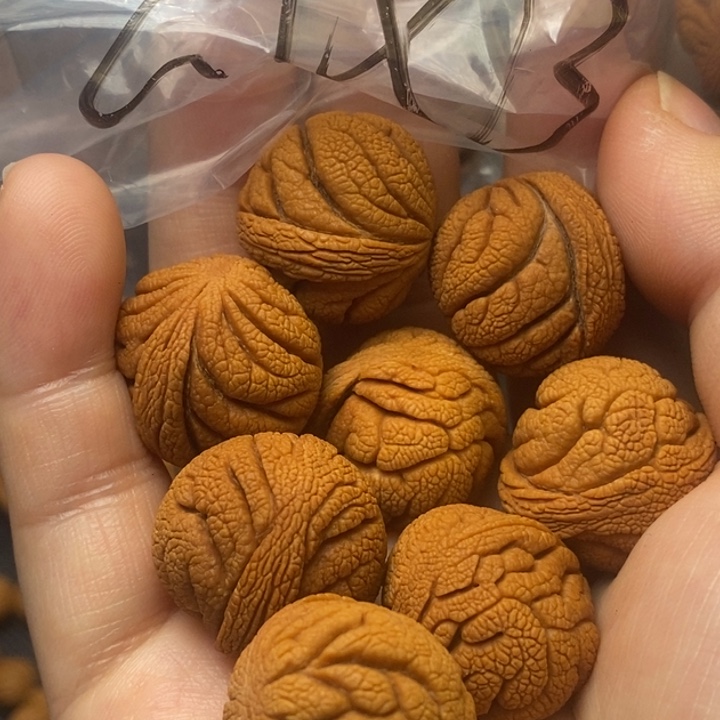 桃核吊坠秦岭山野生桃核