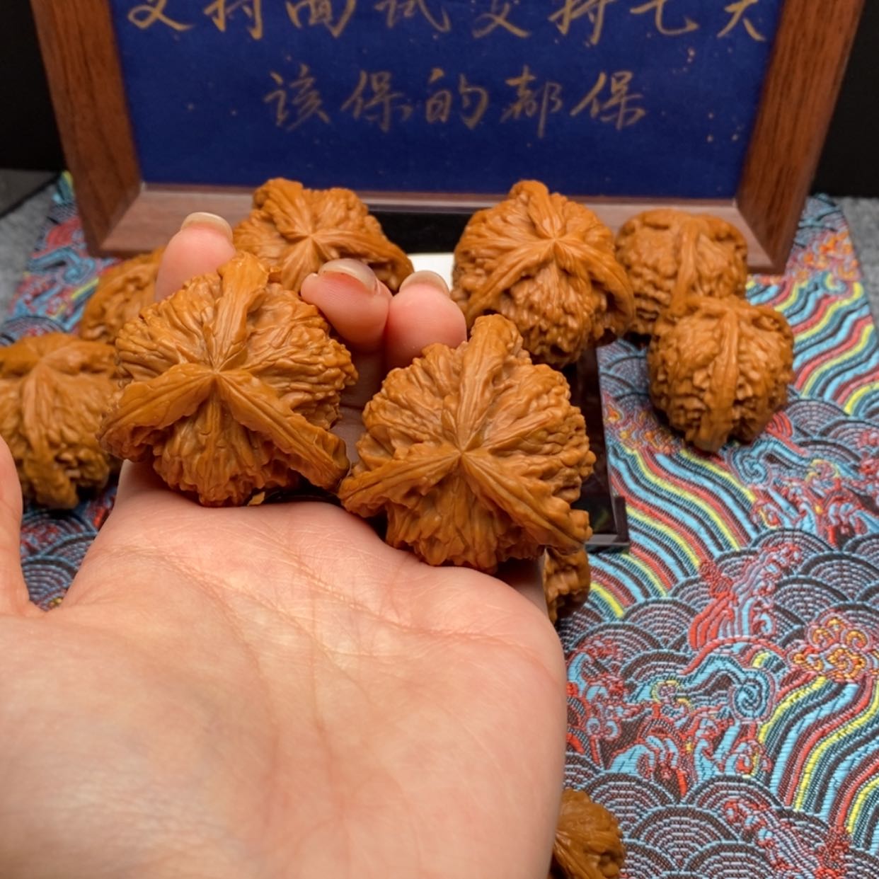 【闪购商品】晴*白狮