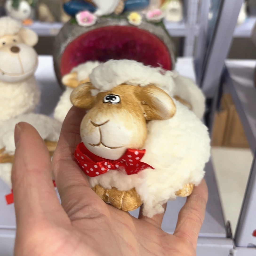 瓷片看好要在拍不退不换