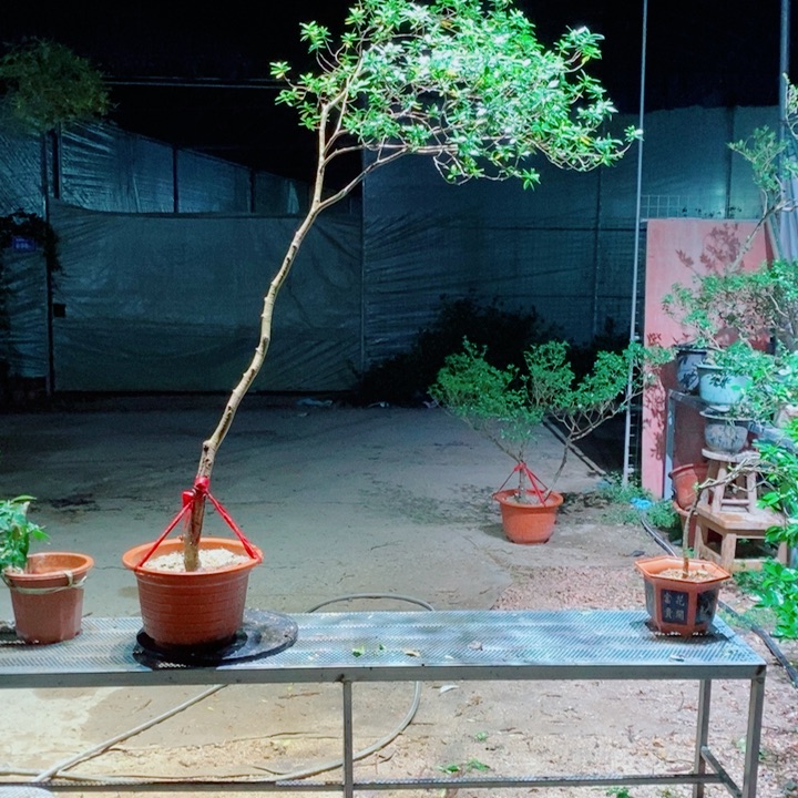 好***胆感谢您的支持和配合和支持