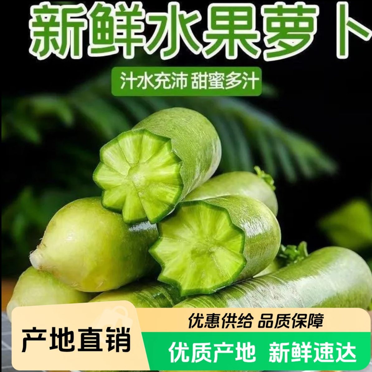 【悦悦助农】天津本地水果萝卜(天星2号)脆甜现拔现发京东或顺丰包邮萝卜