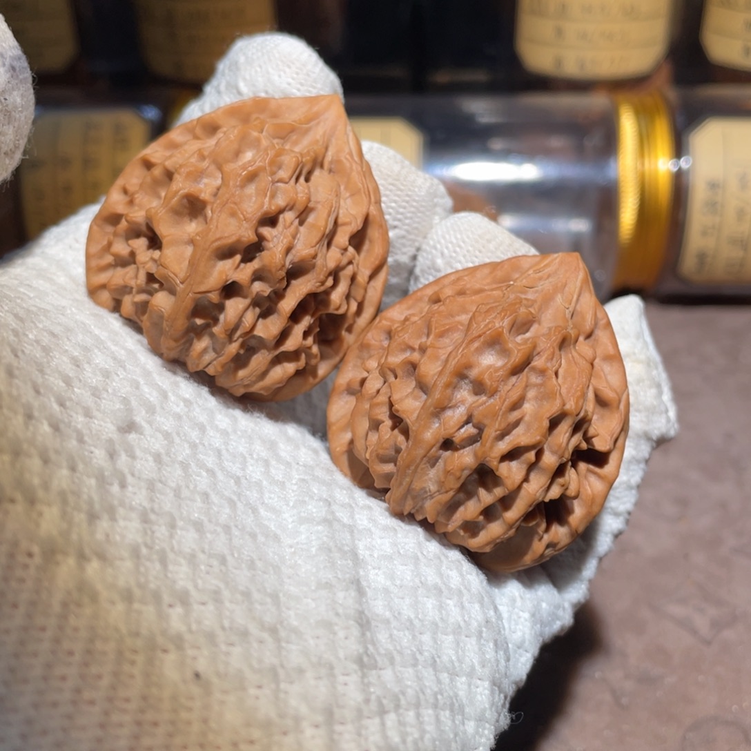 核桃43高庄龙门涧