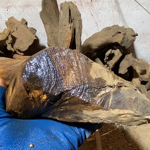 贡木手串醉****风一个人在家里的日子