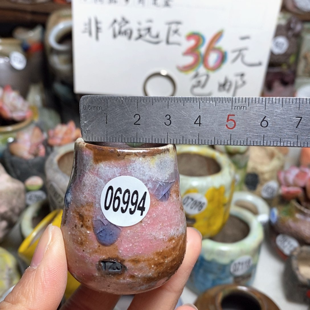 花盆拍5送一个小礼物