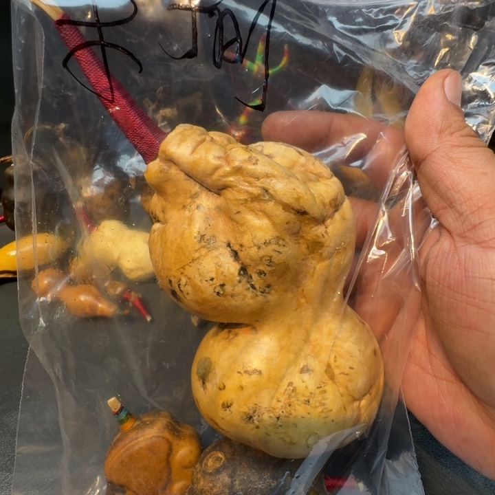 桑***榆嘎嘎嘎嘎嘎嘎嘎嘎嘎嘎