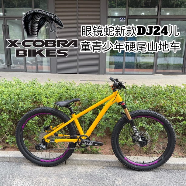 新款眼镜蛇DJ24双碟刹气压避震变速土坡车24寸AM山地车青少年童车