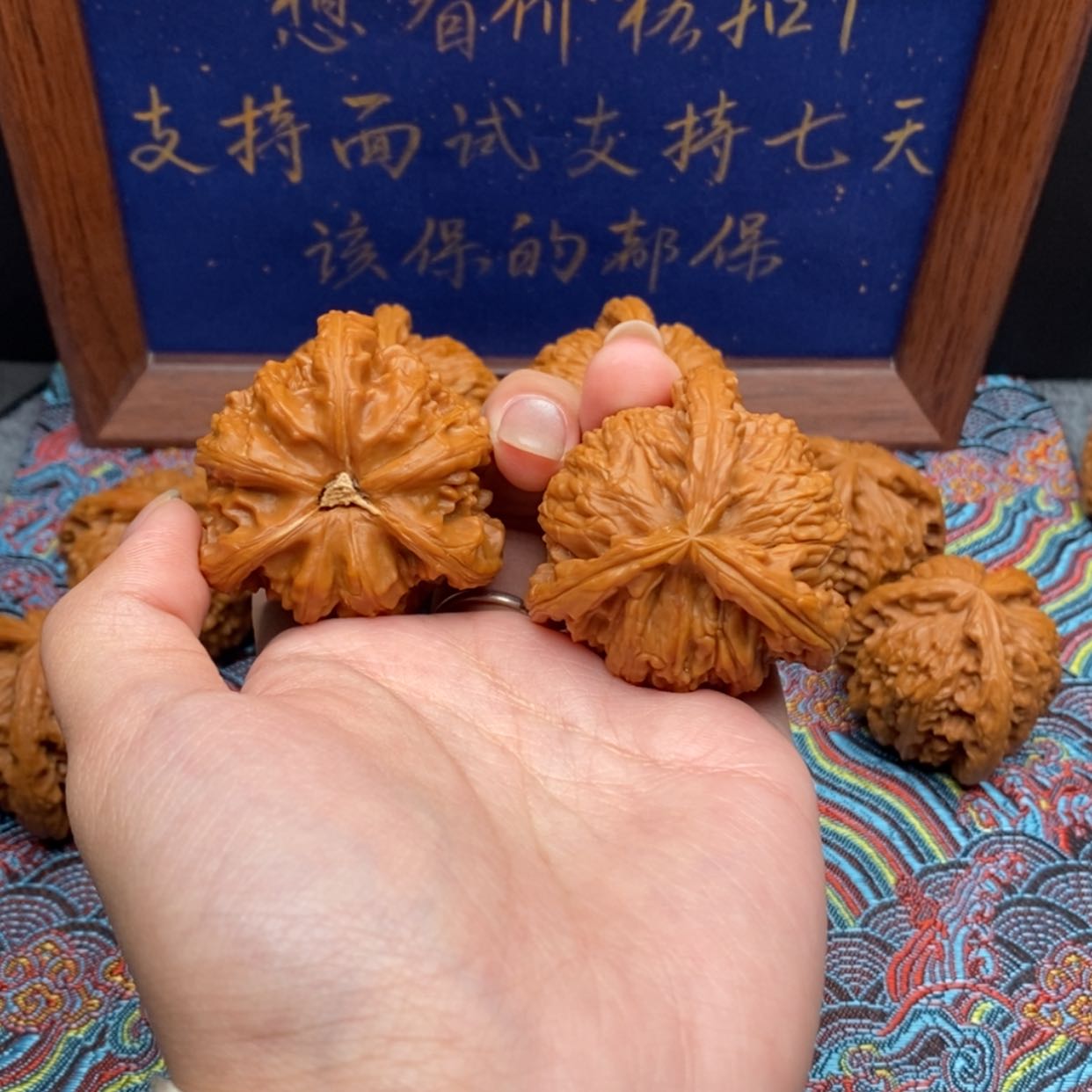 【闪购商品】征**上白狮