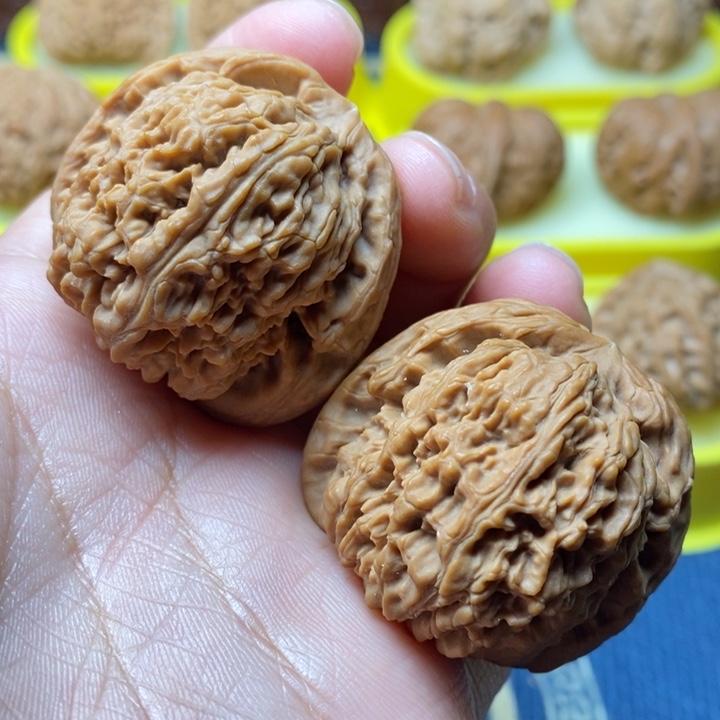 文玩核桃南疆石40天残