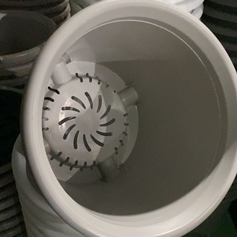 树脂四季6号灰白无托5个