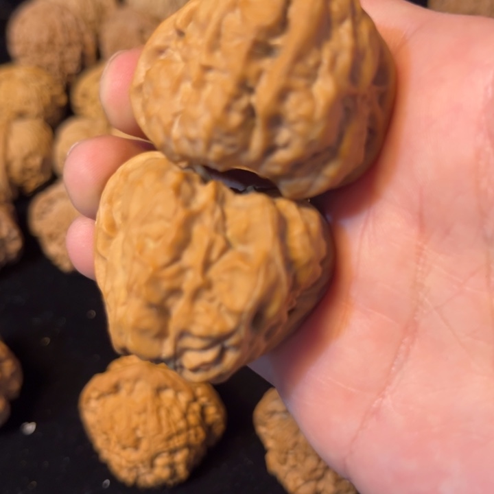 明***.文玩核桃蛤蟆头40