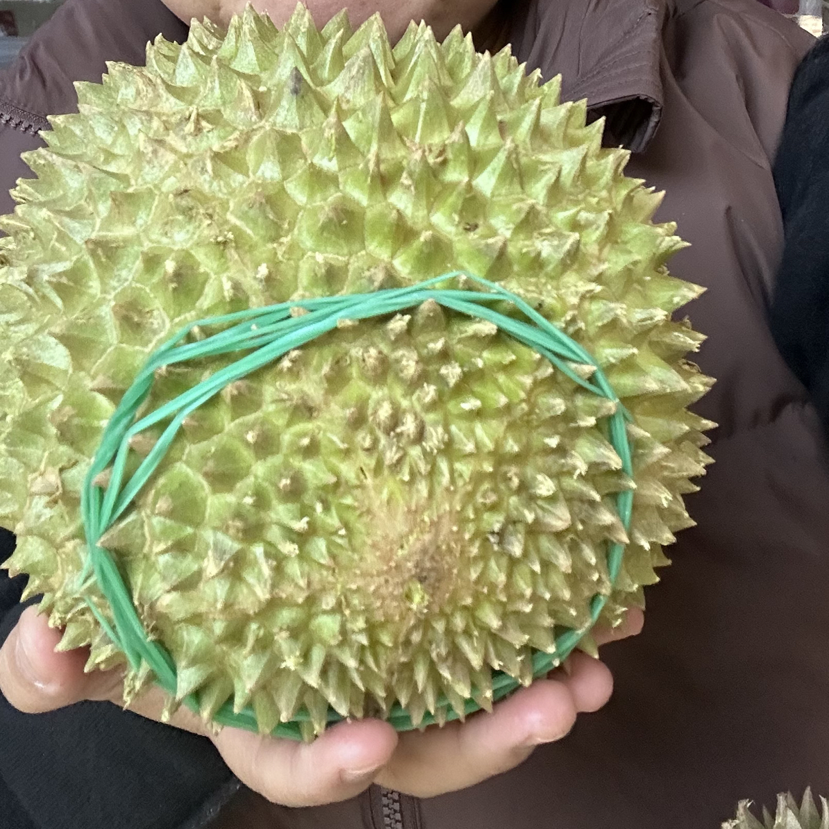 马来西亚新鲜榴莲4斤左右核小猫山王马来西亚