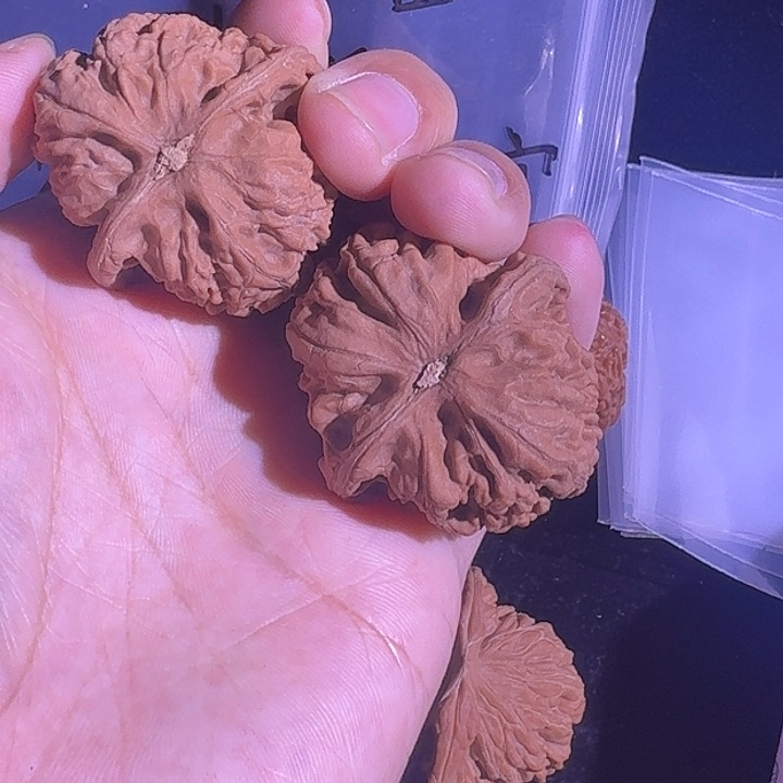 吊坠文玩核桃40尺寸的至尊宝