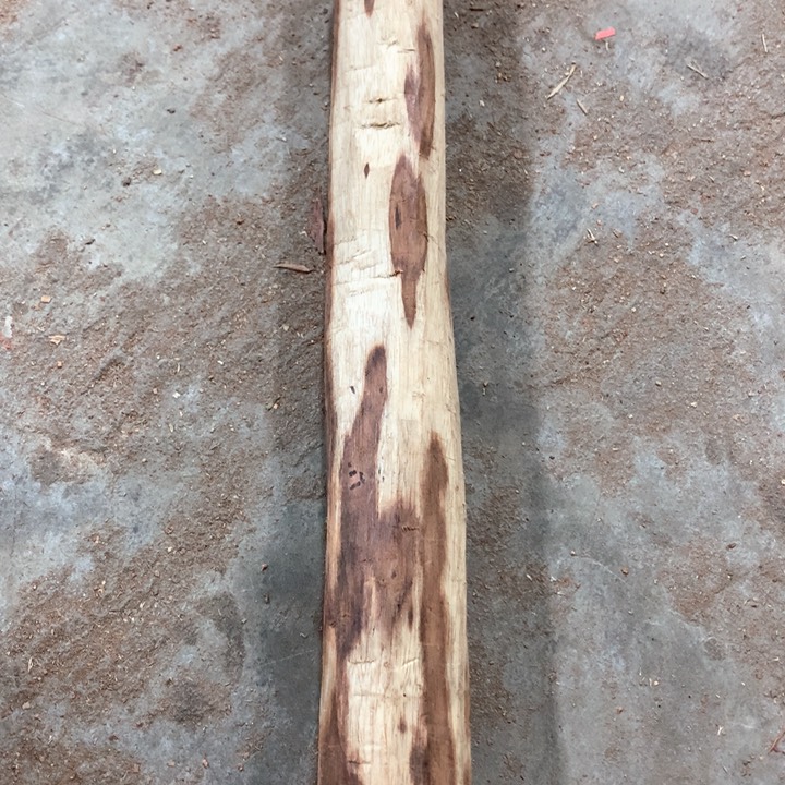 黄花梨/降香黄檀海南黄花梨