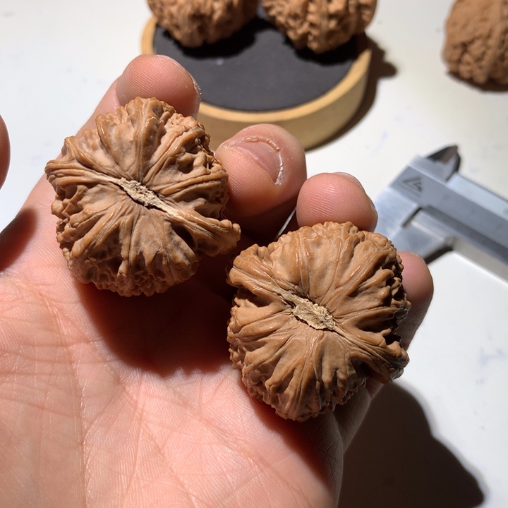 把件文玩核桃白狮子