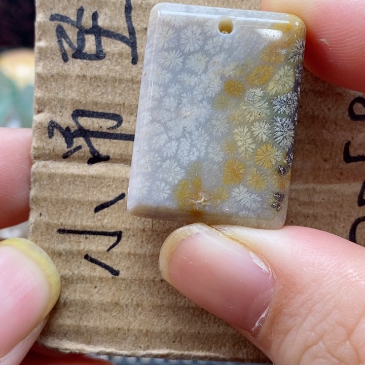 硅化珊瑚（珊瑚玉）颈饰未镶嵌