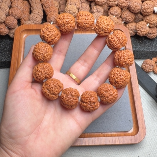 菩提13号尼泊尔大金刚23+/24五星蜂王菠萝蜜