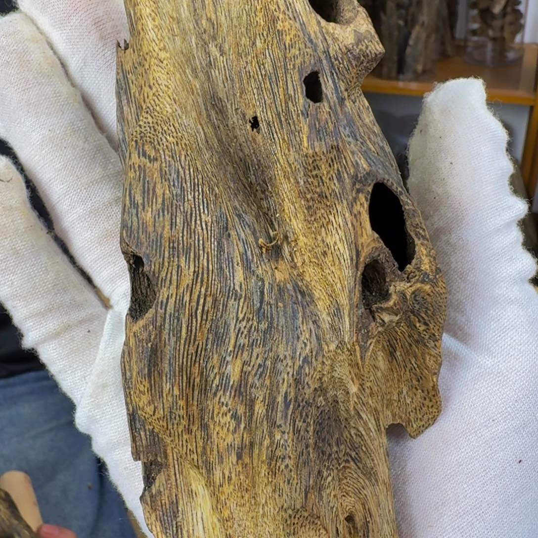 沉香沉香碎屑透顶绿虫漏香54克