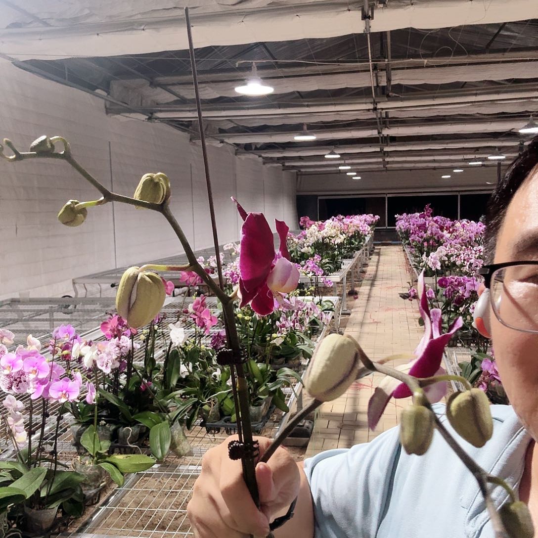 完全开放幻影2颗3.0加高