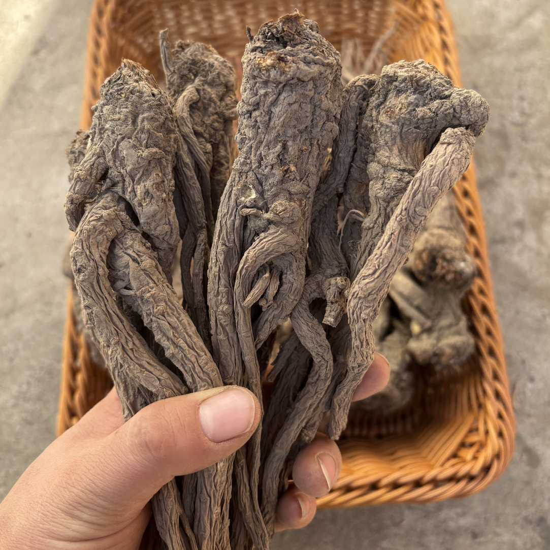 甘肃岷县当归原条原产地直发无熏硫煲汤炖肉滋补养生中药材