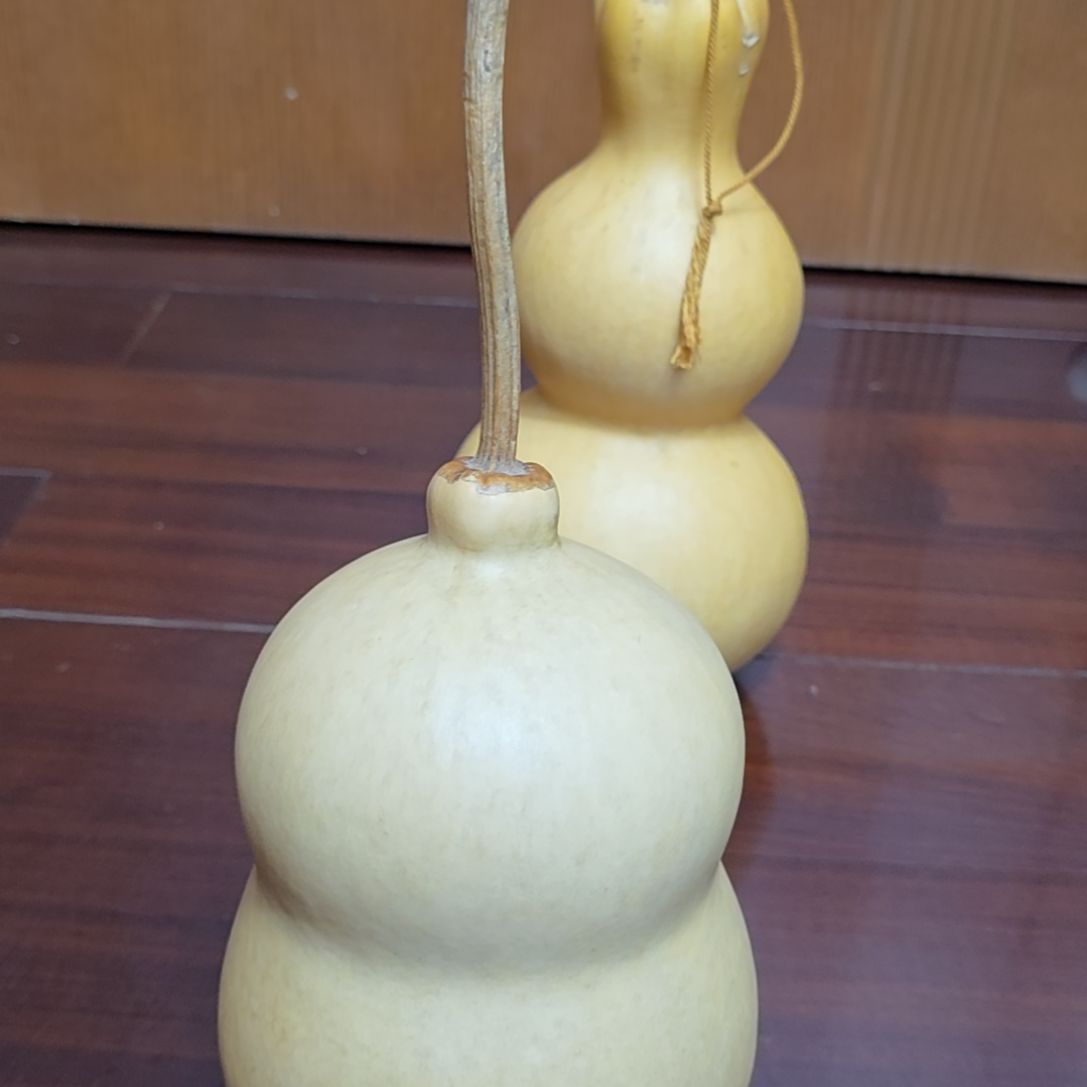 e***y胖墩啊啊啊啊啊啊