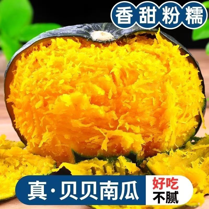 正宗沙地贝贝南瓜新鲜采摘粉糯香甜板栗味宝宝辅食