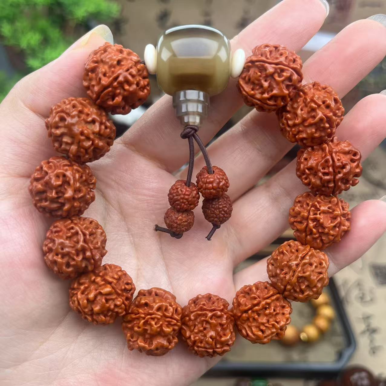 1.8 金刚+牛骨 +隔片【446】