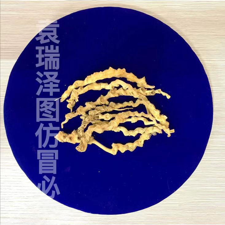 天王人参【袁瑞泽推荐】-