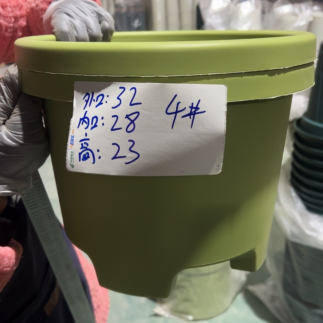 球根盆4#果绿色5个无托