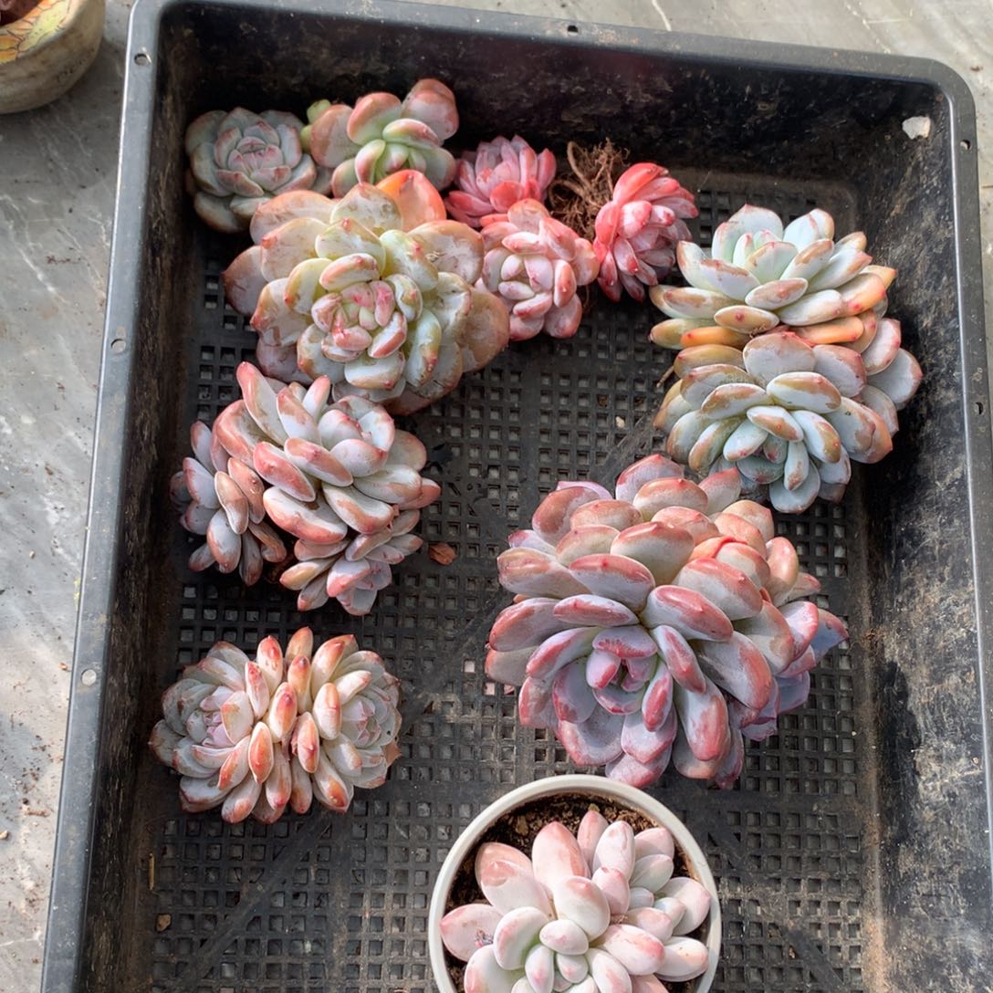 哈哈哈哈哈哈哈哈哈哈哈