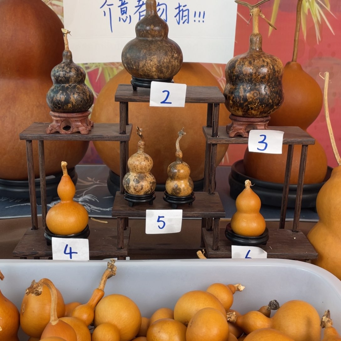 有机玻璃虾***3葫芦，