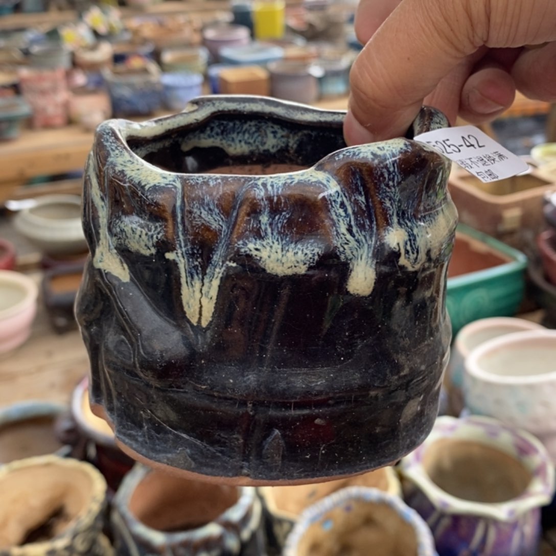 42号多肉盆口径8