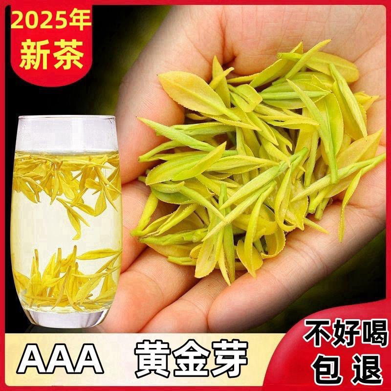 原产地高山奶白黄金芽免费试喝