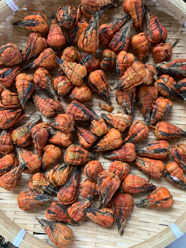 2025年茶农周容艳家宝塔红茶