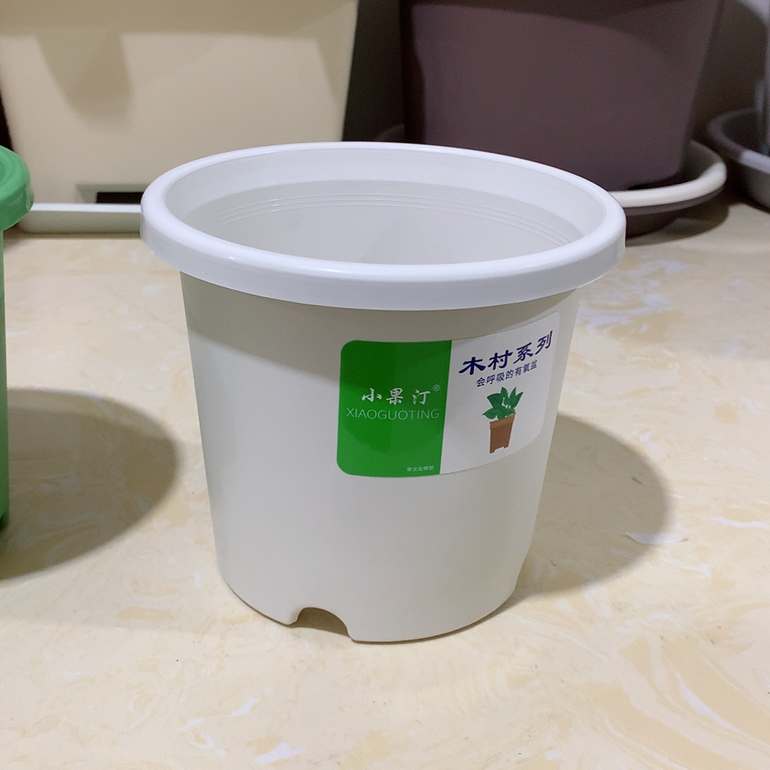 树脂四季口15白10个无托