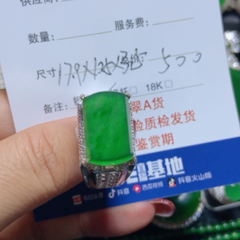 【闪购商品】翡翠颈饰未镶嵌子*Z翡翠