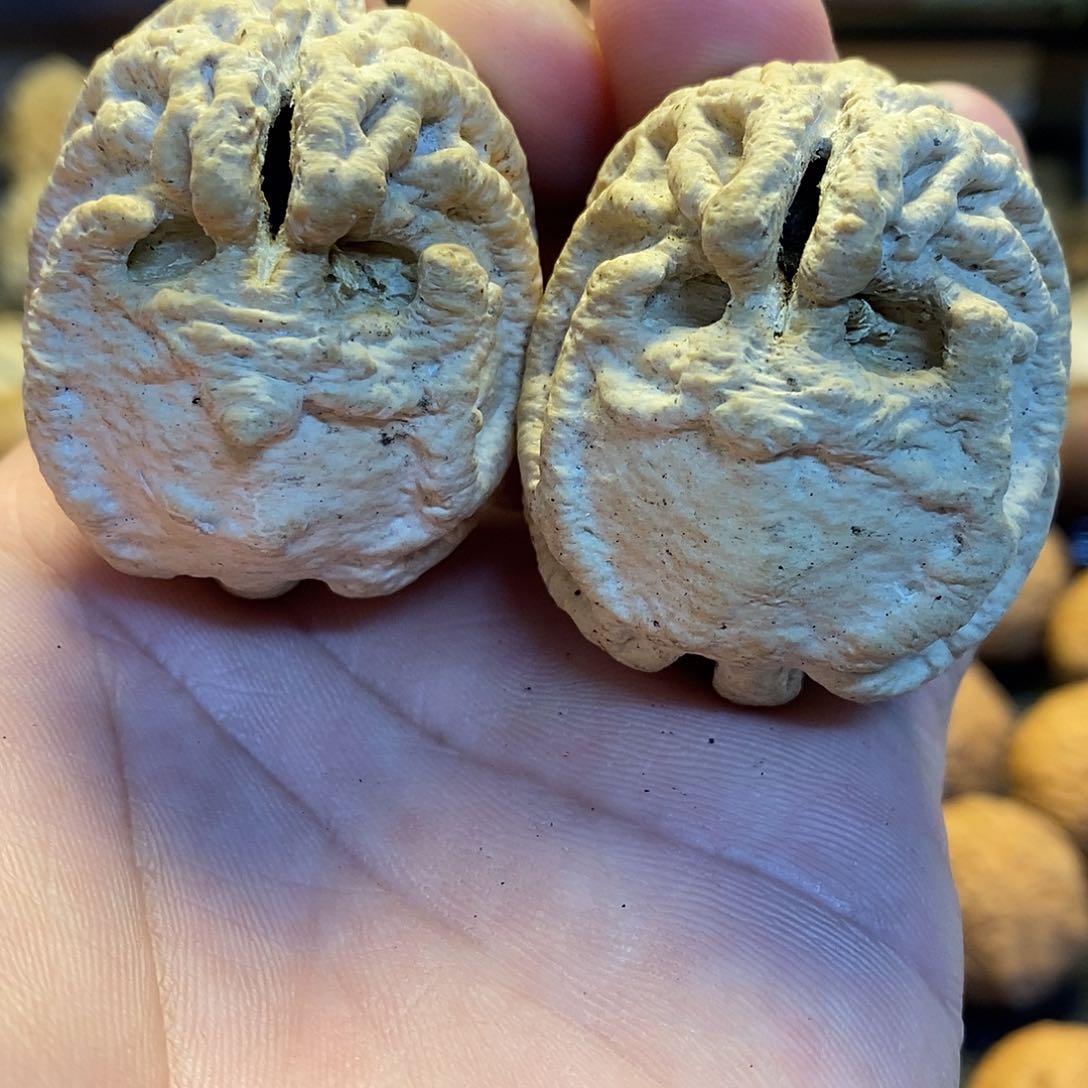 吊坠金刚菩提文化交流