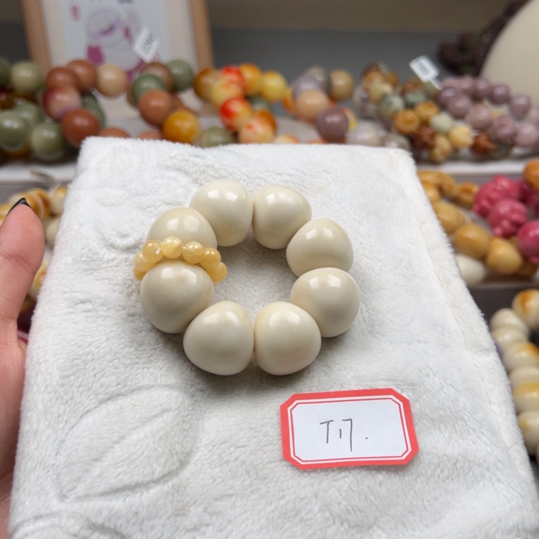 吊坠菩提根/象牙果通货T17牙果蒜瓣手捻21m