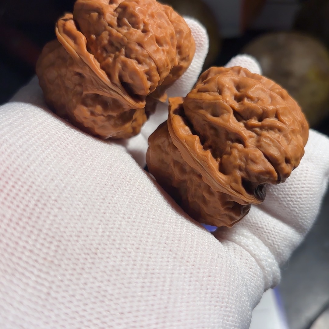 B***缺核桃三角四开背蛤蟆头一只尖微刮