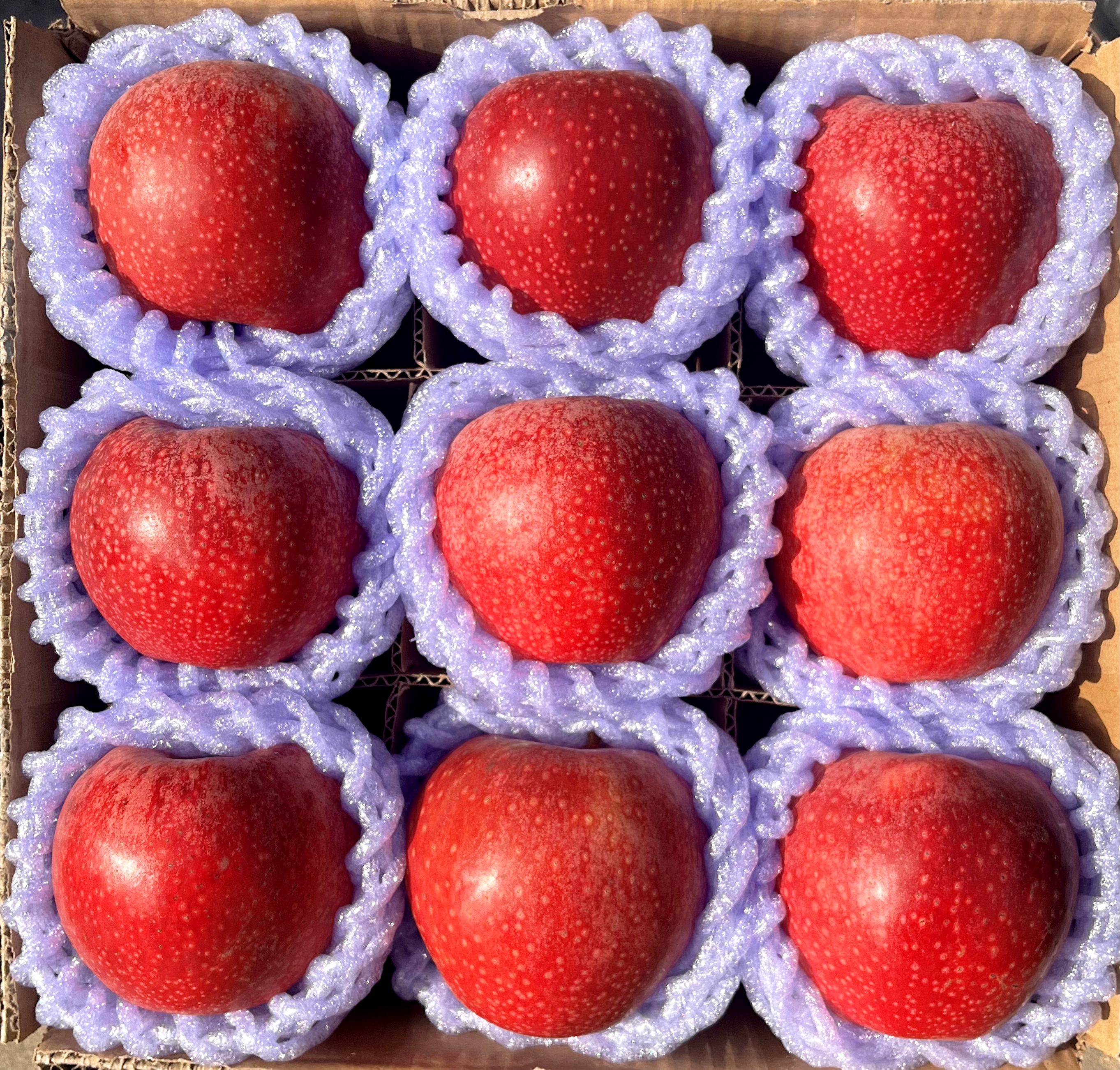 陕西高山秦冠苹果粉面香甜苹果当季新鲜当季水果非冰糖心粉面香甜