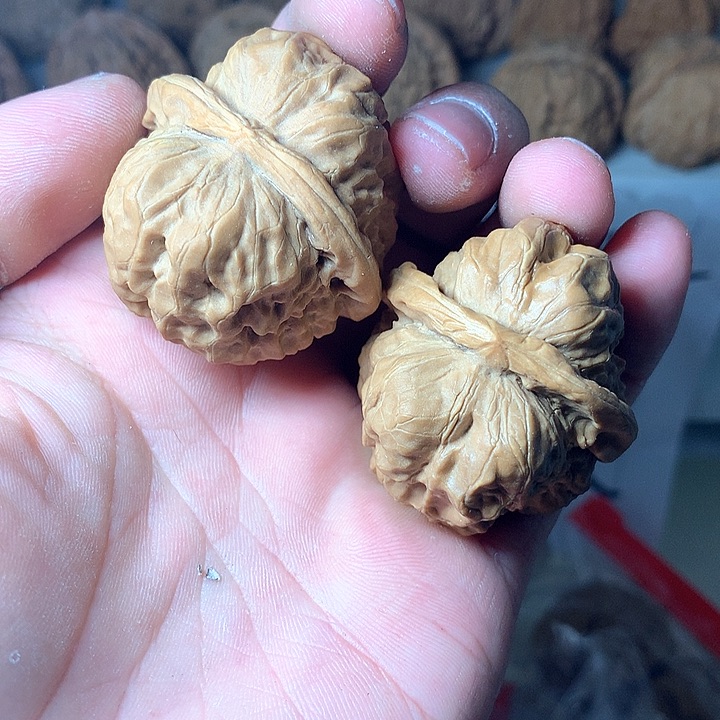 练手蛤蟆头核桃身上有黄