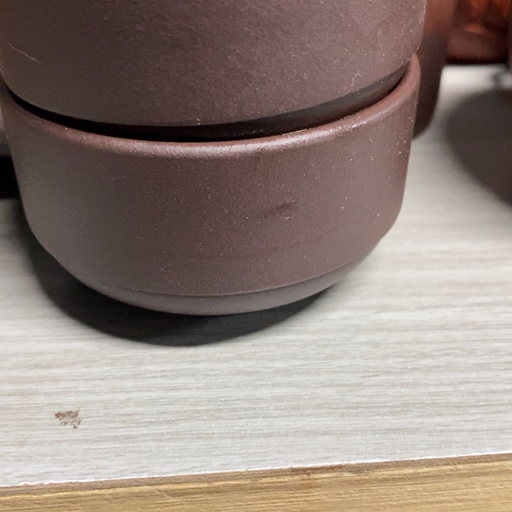 紫砂茶杯福利来了