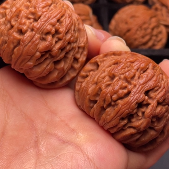 文玩核桃把件秦岭山脉核桃