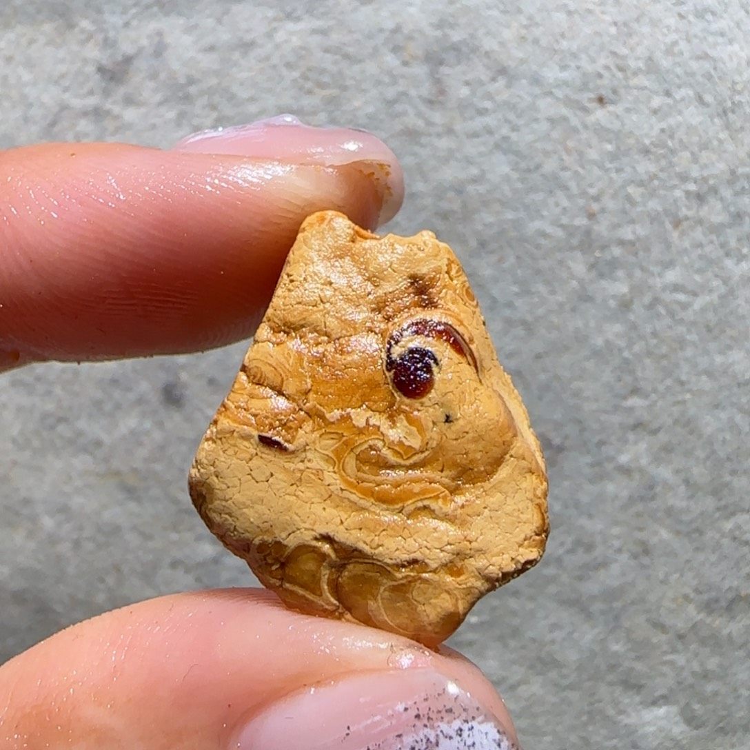 从***此琥珀未镶嵌裸石专拍