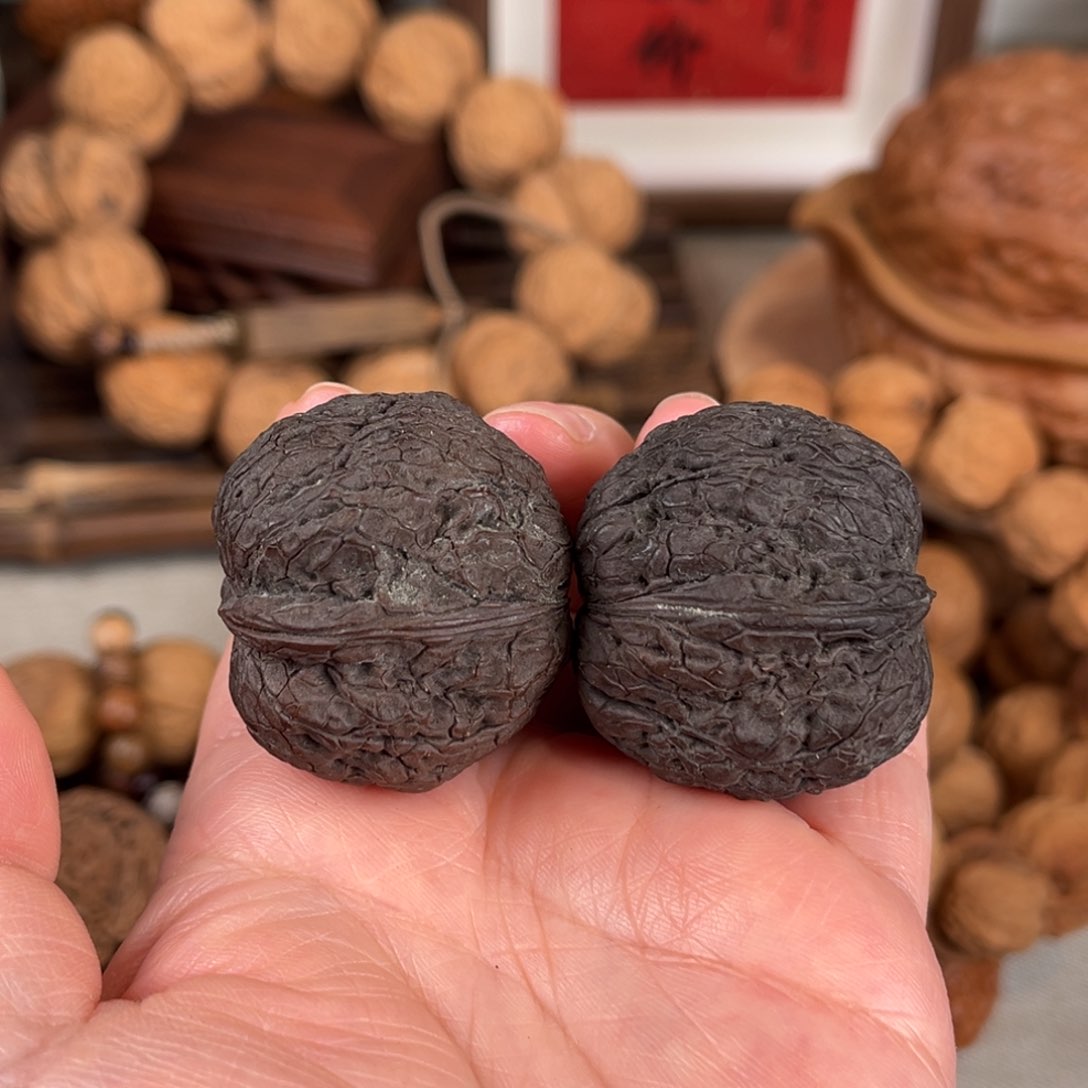 文玩核桃把件古树九龙纹元宝36尺