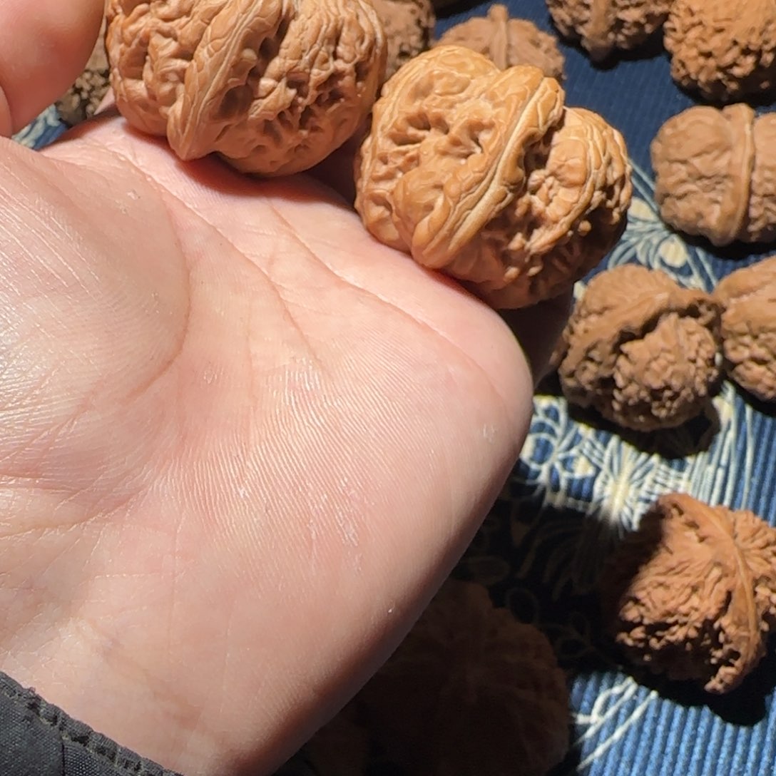 嘻*哥元宝哈哈哈哈哈哈哈哈