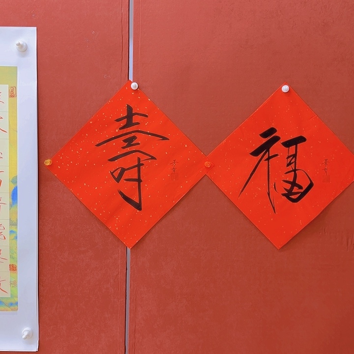 洒金萱福寿618福利