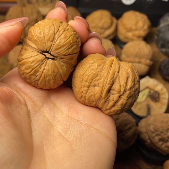 三***子如图所示一物一拍37