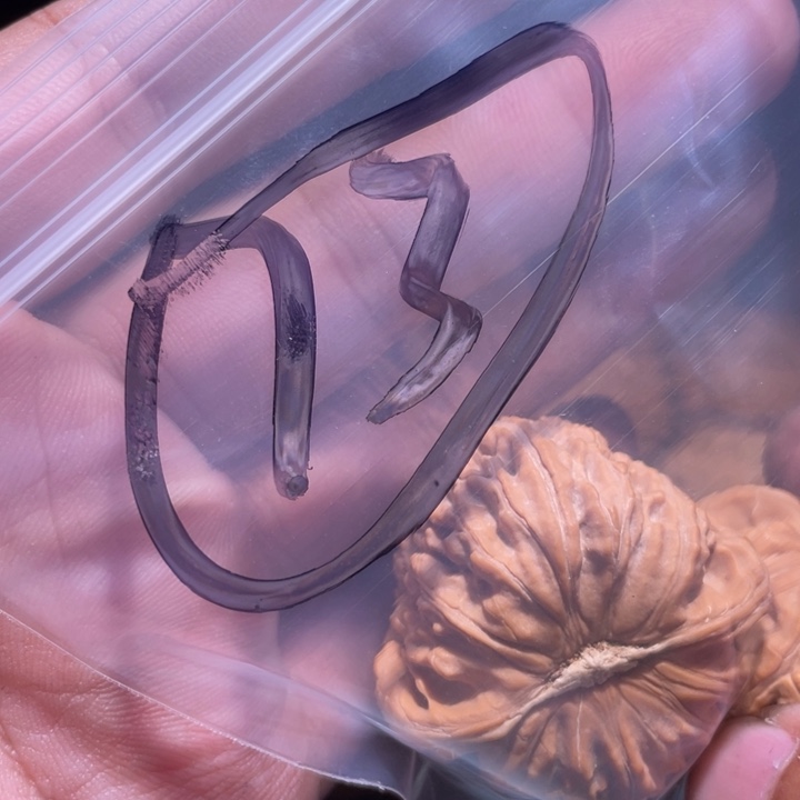 文玩核桃吊坠73呃呃呃