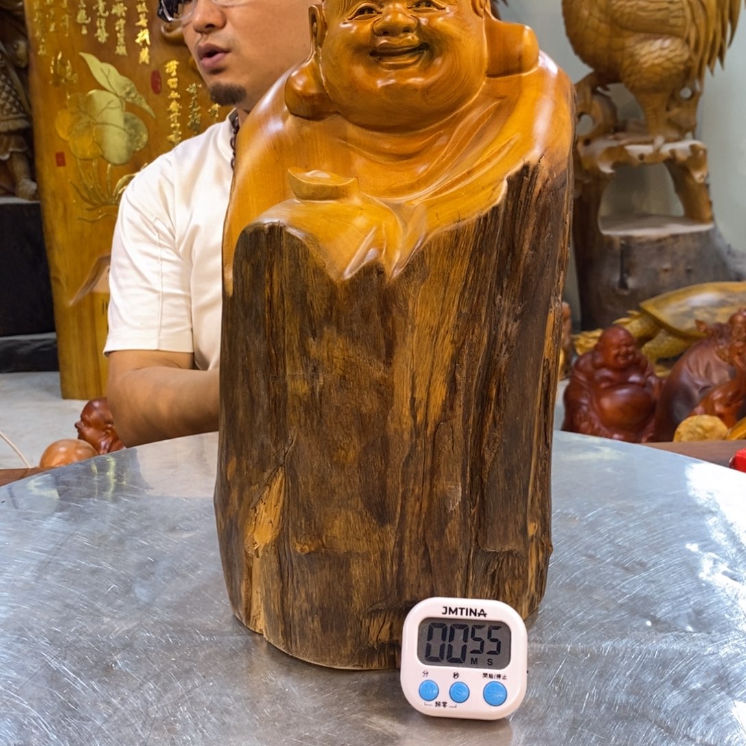 李***场木香樟木高度42厘米